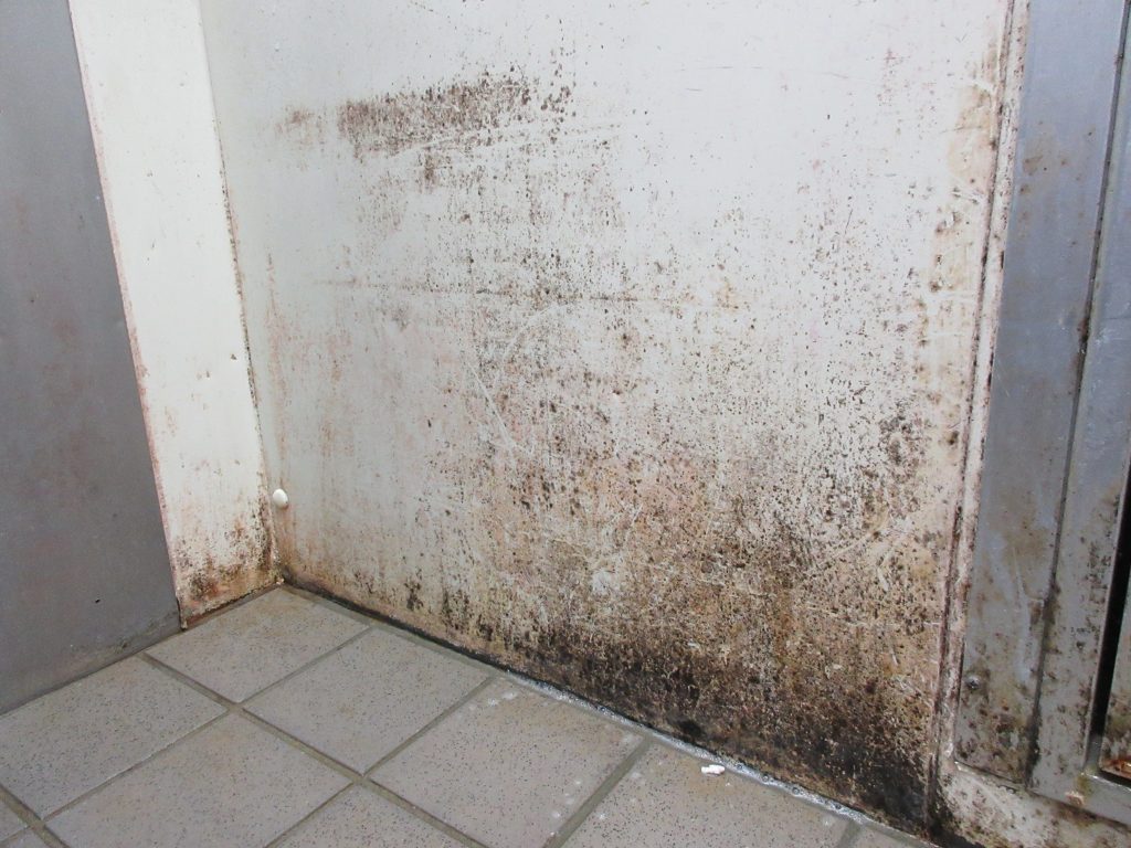 埼玉県 食品工場 | 日本カビ対策プロジェクト